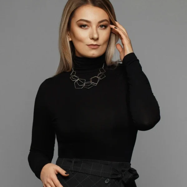 Bookcase Bar Cabinet