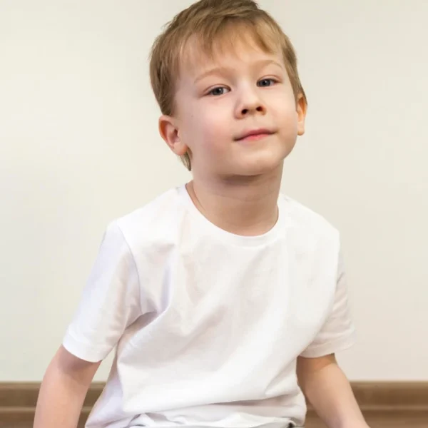 Table Lamp with Drum Shade